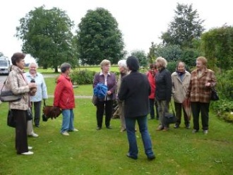 Gruppe im Rasen