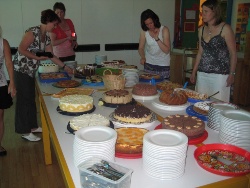 Fest 2011