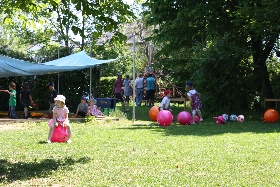 Fest 2011