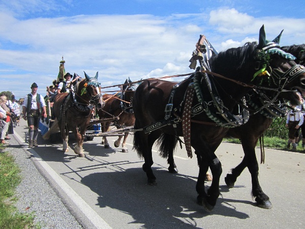 Gautrachtenfest<br/>Festzug Pferdegespann