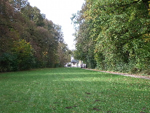 MEich1201