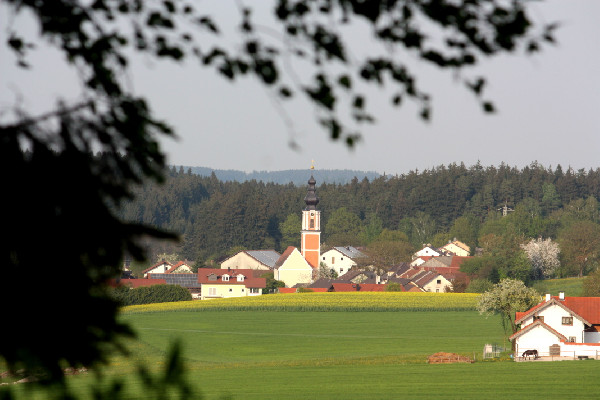 2012 Kirche von Krempinger Holz