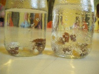 Rosinen im Wasserglas