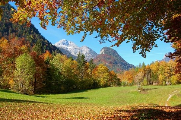 Herbst