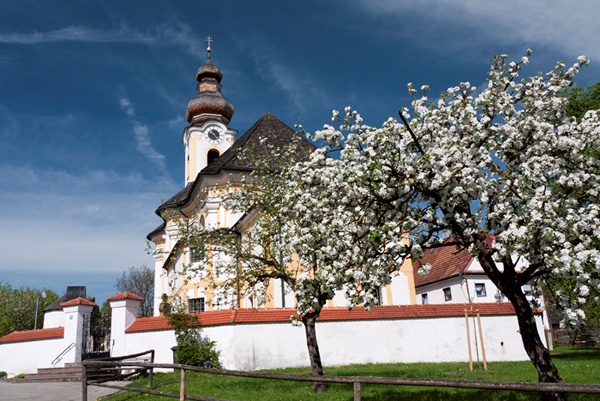 Berbling im Frühling