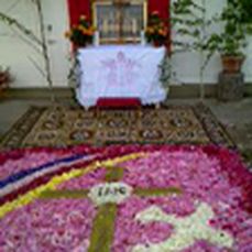 2012 Blumen<br/>2012 Blumen