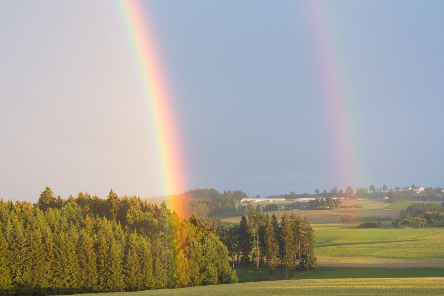 Regenbogen vor Wiesen mit Sekundärbogen