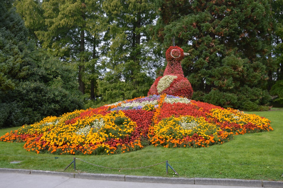 LT.Mainau.Pfau