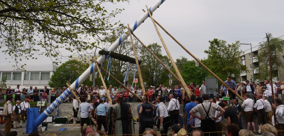 Maibaum aufstellen 01