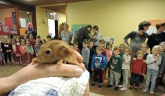 Eichhörnchen im Kindergarten St. Otto