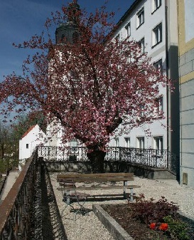 Rosenterrasse im Sommer