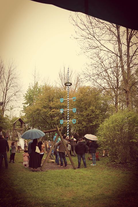 maibaum