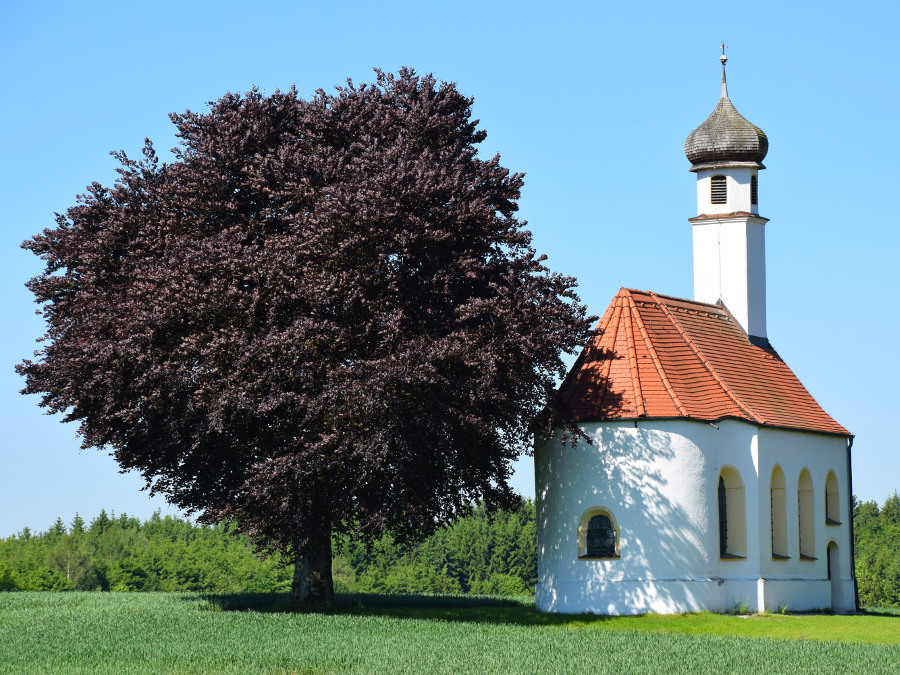 Wolfersberg