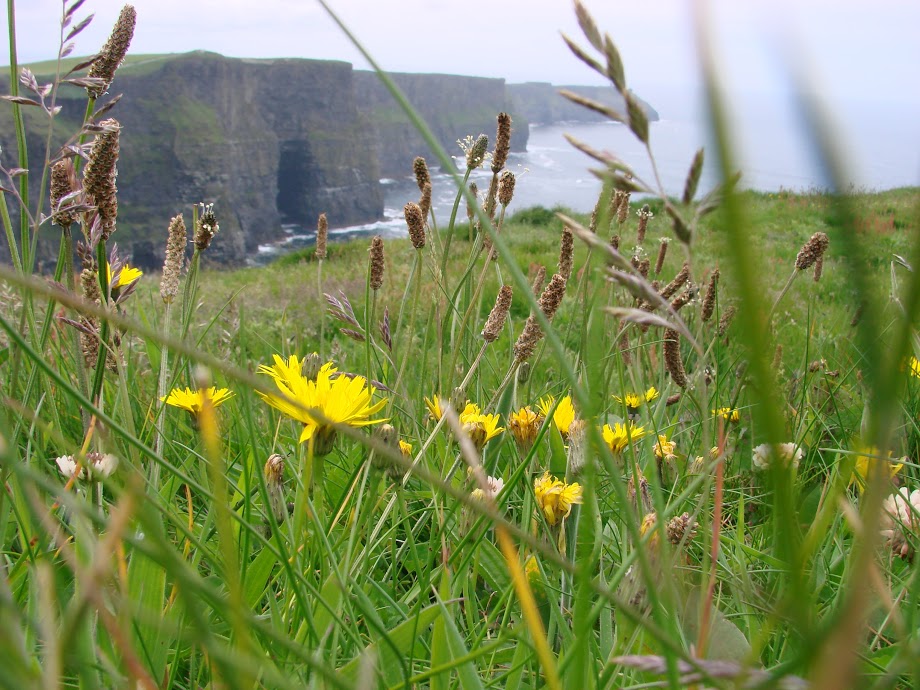 cliffs of Mohair