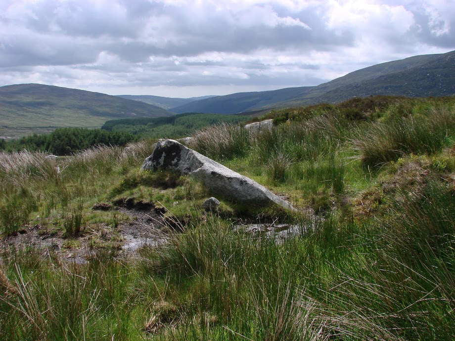 Wicklow Mountains
