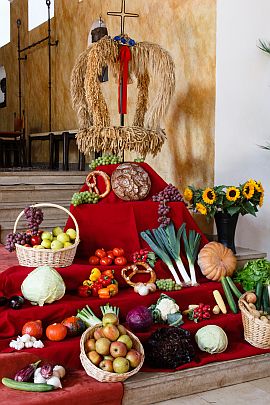 Gemüse, Obst, Blumen und eine Erntekrone sind auf roten Tüchtern in einer Kirche aufgestellt.