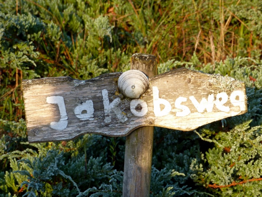 PVT_Jabobsweg_II_2017 (17)