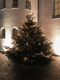 Weihnachtsbaum vor St. Otto 2017