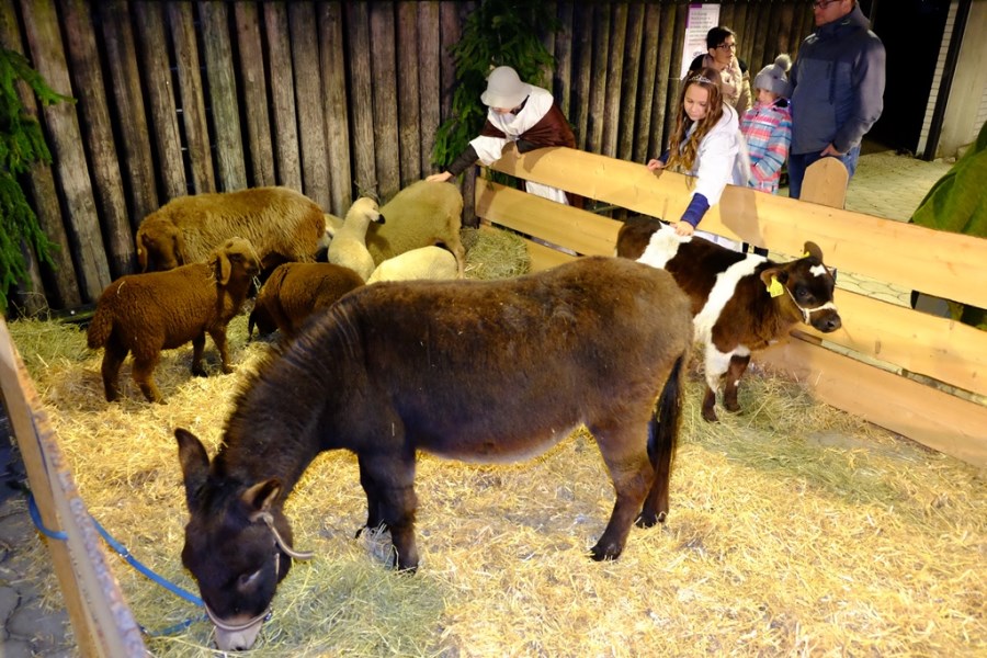 stall stallweihnacht 2017