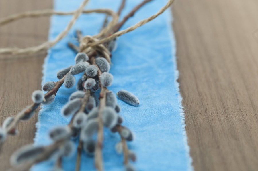 Palmzweige auf blauem Deckchen auf Holztisch