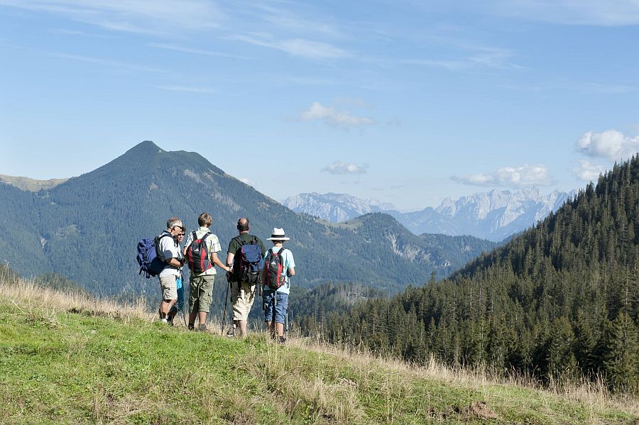 Gruppe von Wanderern mit Rucksäcken und Wanderstöcken steht auf einer sommerlichen Bergwiese und blickt in die Landschaft.