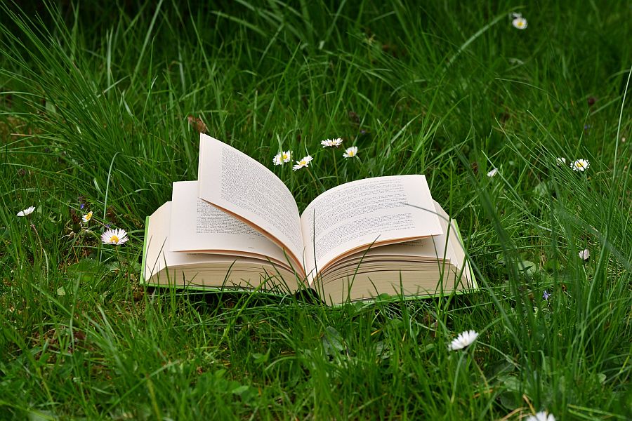 Aufgeschlagenes Buch liegt inmitten einer Wiese mit Gras und Gänseblümchen.