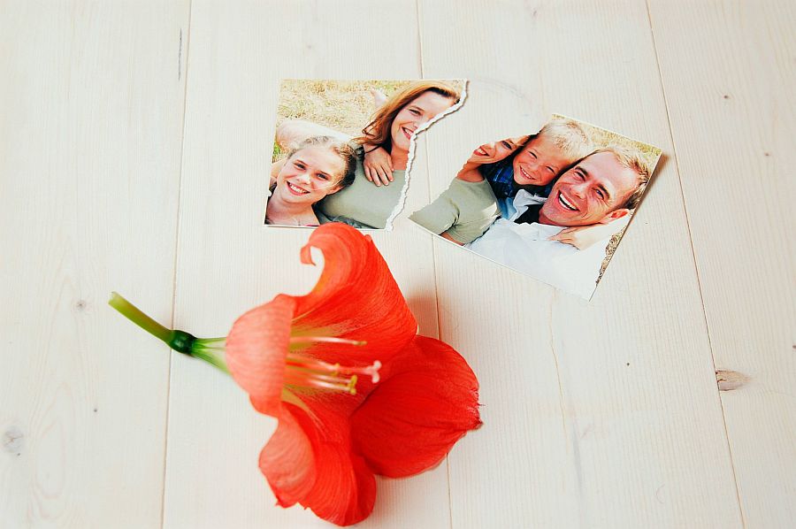 Zerrissenes Familienfoto mit roter Blüte