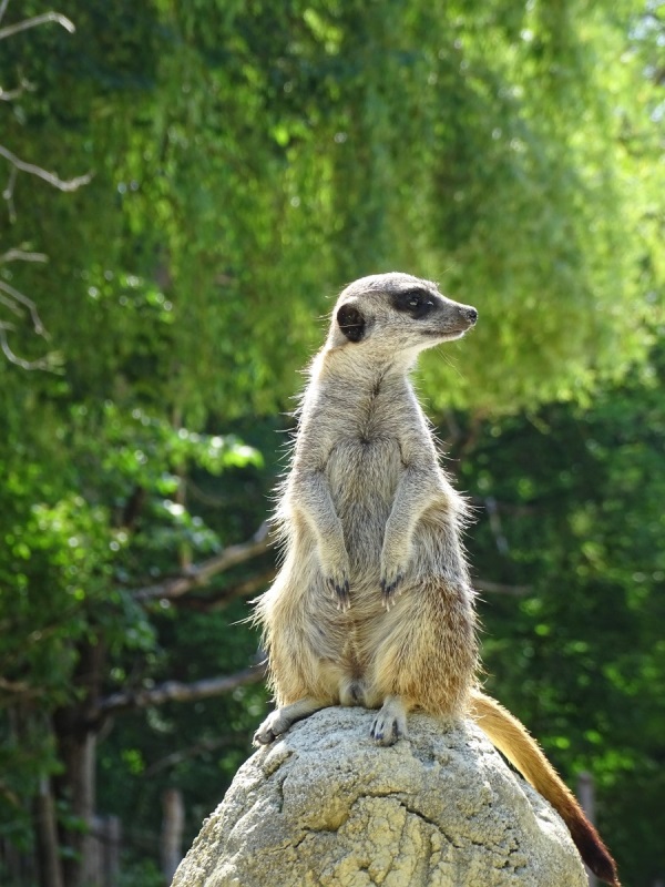 Tierpark