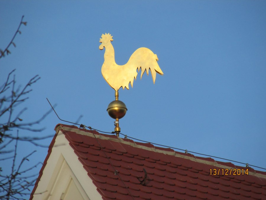 Gallus der Wetterhahn (1)