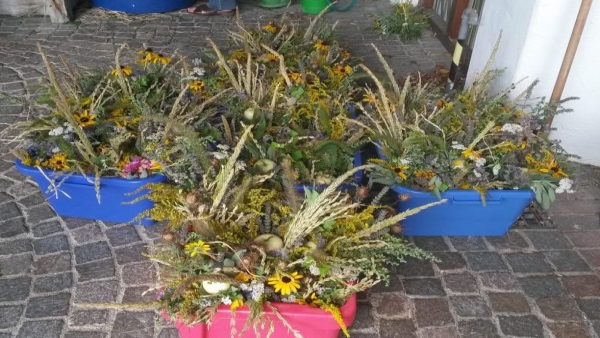 Kräuterbuschen