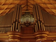 Orgel