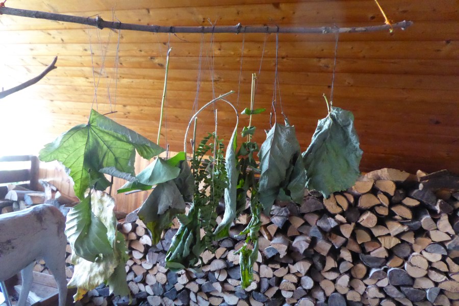 Herbstblätter Bastelanleitung