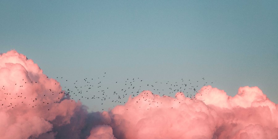rosa Wolken am Himmel
