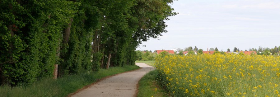 Pfarrgemeinderat Aschheim