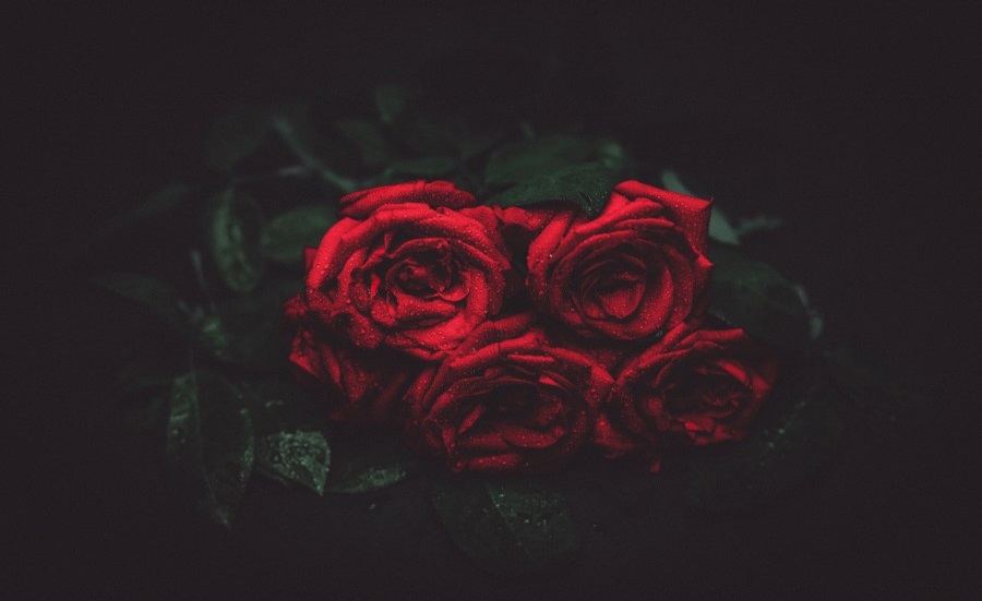 rote rosen_trauerstrauß