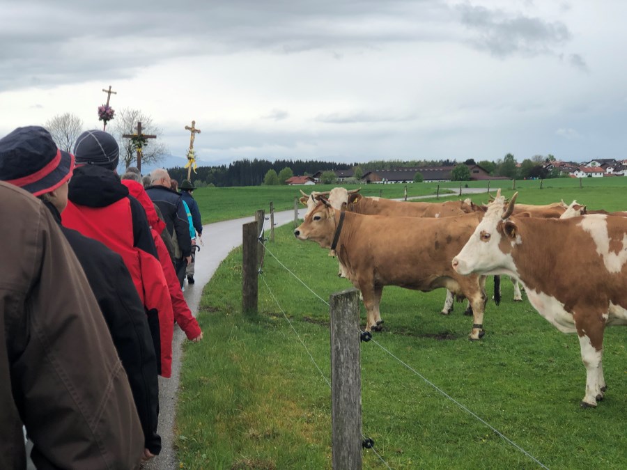 Wallfahrt Birkenstein 2019