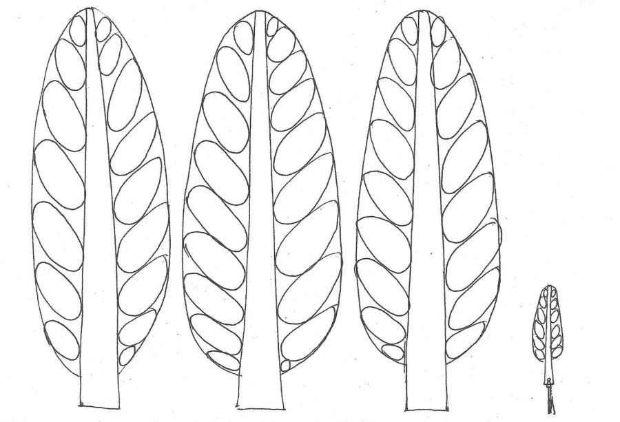 Lesezeichen Basteln