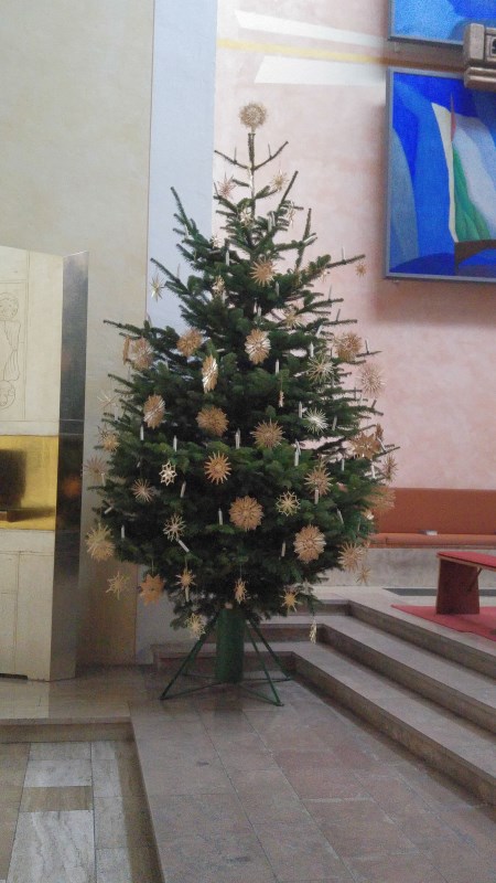 neue Christbäume in St. Pius X. - Mühldorf