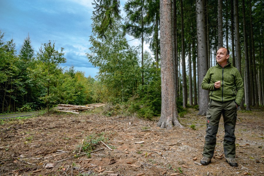 Torsten Ehnle steht am Waldrand