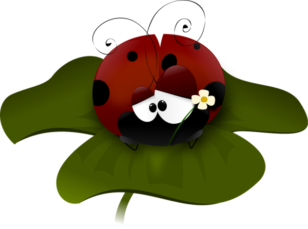 ladybug-48082_960_720