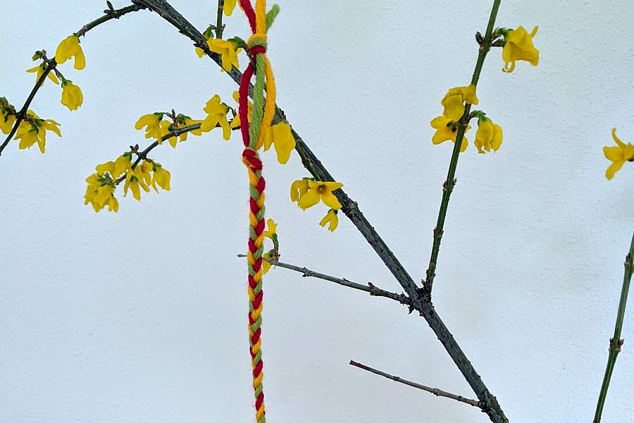 Geflochtenes Freundschaftsband hängt an Forsythienzweig