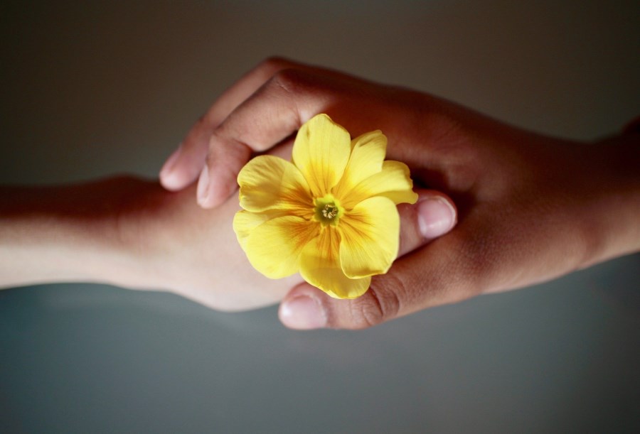 zwei verschiedene Hände halten gemeinsam eine Blume