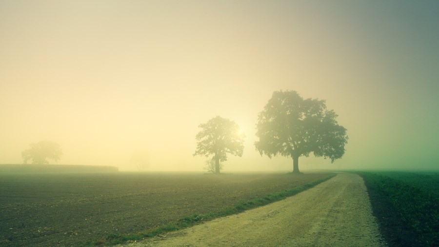 Landschaft im Morgennebel