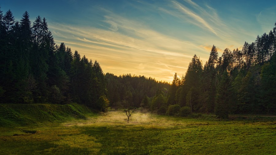 Landschaft im Sonnenuntergang