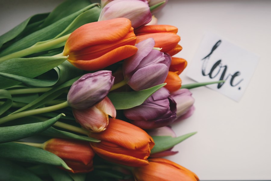 Tulpenstrauß und Love-Schriftzug