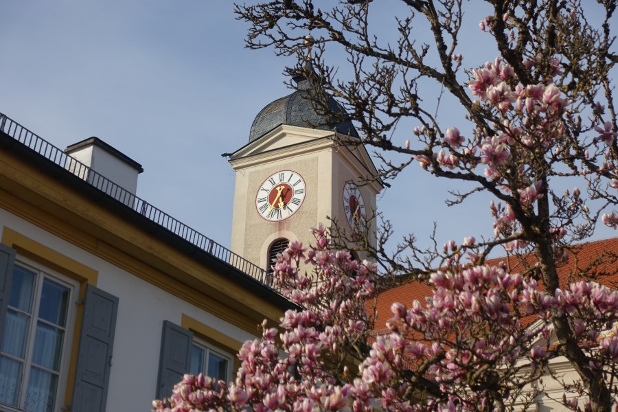 Kirche und Magnolie