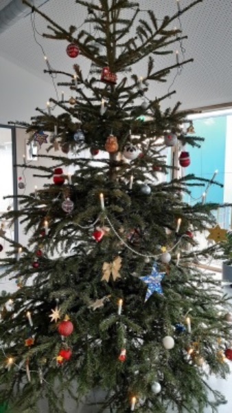 Kiga - Christbaum 2019