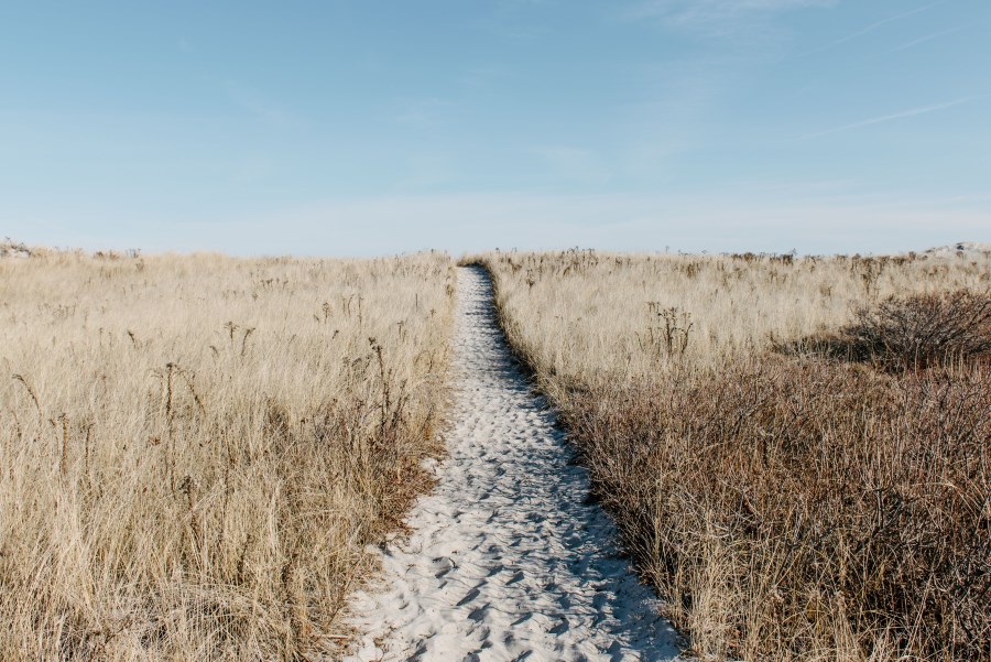 Weg zu einem Strand