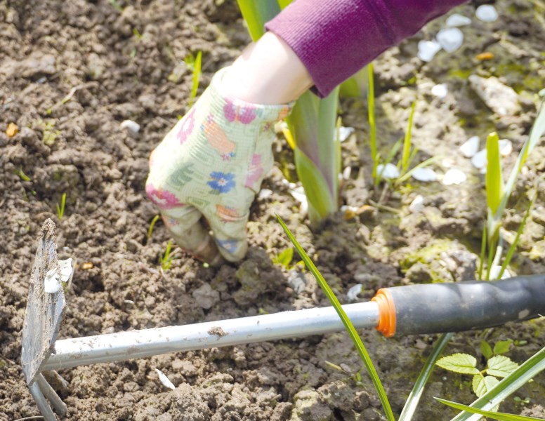 Gartenarbeit