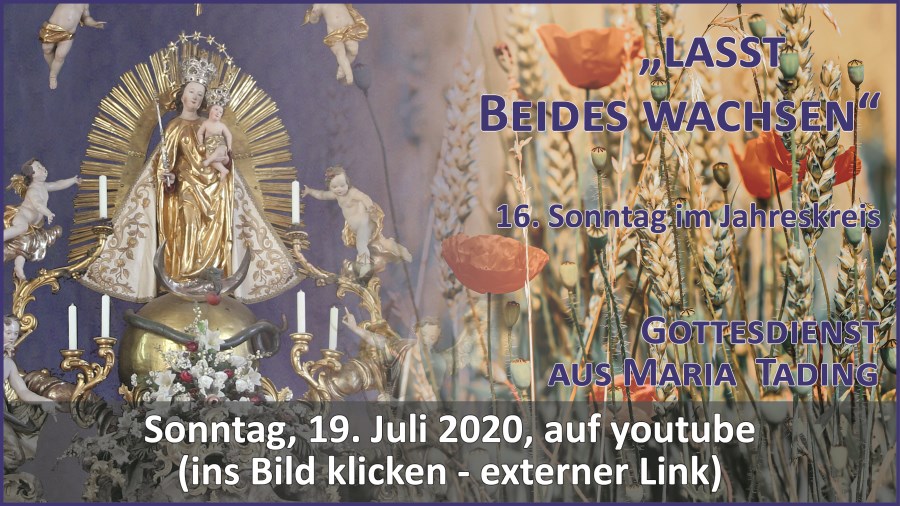 Gottesdienst Übertragung Pfarrkirche Wallfahrtskirche Maria Tading kirch dahoam 16. Sonntag im Jahreskreis A 19. Juli 2020